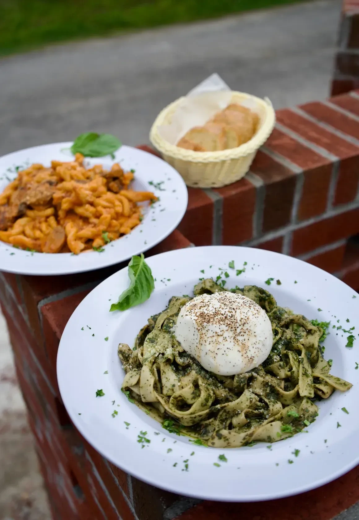 Gemelli pasta served with fresh burrata and basil